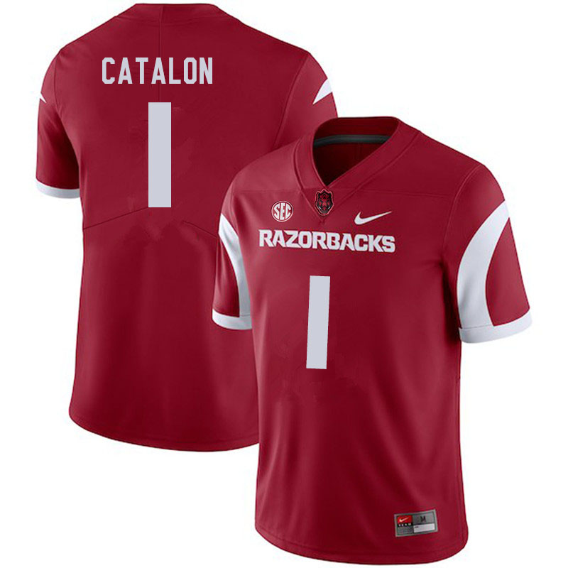 Men #1 Jalen Catalon Arkansas Razorbacks College Football Jerseys Sale-Cardinal - Click Image to Close